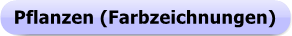 Button - Werkauswahl - Pflanzen