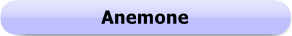 1106 - Button - Anemone