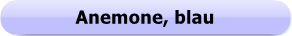 Button 1106a  - Anemone, blau