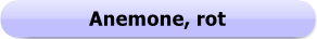 1106b Button - Anemone, rot