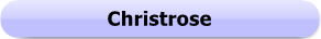 1116 - Button - Christrose