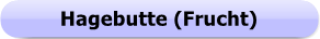 1122a - Button - Hagebutte - Frucht