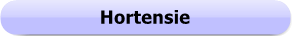 Button - Hortensie