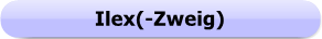 1135 - Button Ilex
