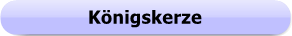 1138 - Button - Königskerze