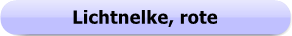 1154a - Button - Lichtnelke