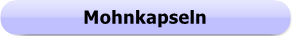1157 - Button - Mohnkapseln