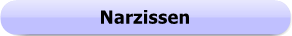 1165 - Button - Narzissen