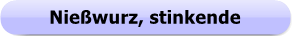 1166 Button - Nießwurz, stinkende