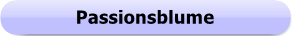 1167 - Button - Passionsblume