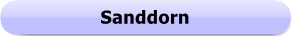 1169b  - Button  - Sanddorn