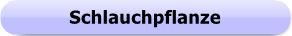 1169c - Button - Schlauchpflanze