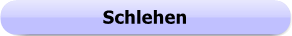 1170 - Button - Schlehen