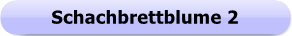 1173 - Button - Schachbrettblume 2