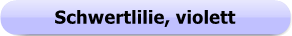 1174 - Button - Schwertlilie