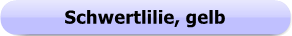 1174b - Button - Schwertlilie, gelb