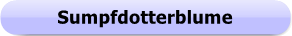 1183 - Button - Sumpfdotterblume