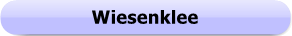 1197a - Button - Wiesenklee