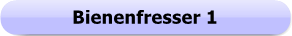 1209 - Button - Bienenfresser 1