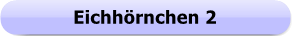 1226 - Button - Eichhörnchen 2