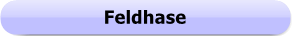 1236 - Button - Feldhase