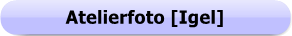 1247 - Button - Atelierfoto - Igel