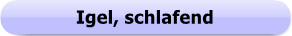 1247a - Button - Igel, schlafend