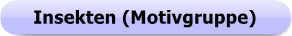 Button - Insekten (Motivgruppe)