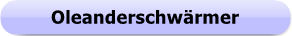 1266 - Button - Oleanderschwaermer
