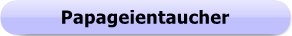 1266 - Button - Papageientaucher