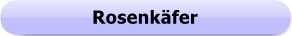 1267 - Button - Rosenkäfer