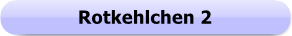 1269 - Button - Rotkehlchen 2 