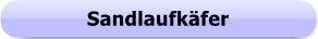 1270 - Button - Sandlaufkäfer