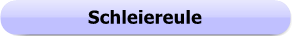 1272a - Button - Schleiereule