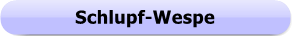 1273 - Button - Schlupf-Wespe