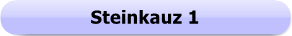 1276 - Button - Steinkauz 1