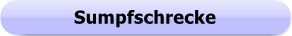 1278 - Button - Sumpfschrecke