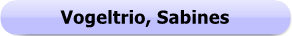 1282 - Button - Sabines Vogeltrio
