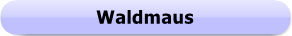 Button - Waldmaus