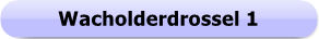 1289 - Button - Wacholderdrossel 1