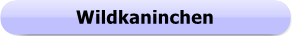 1294 - Button - Wildkaninchen