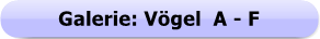 Button - Galerie - Vgel A-G