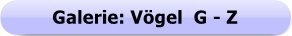 Button - Galerie - Vgel G-Z