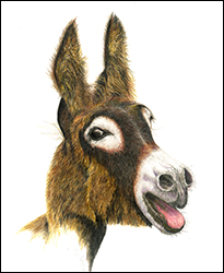 1235 - Esel - Miniaturbild