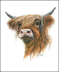 1246a - Highlandrind - Miniatur