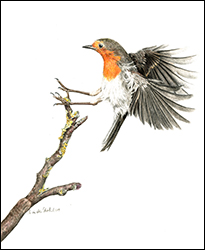 1269 - Rotkehlchen 2 - Miniatur