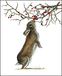 1294 - Wildkaninchen - Miniatur